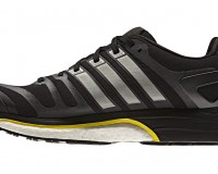Adistar_Boost_04